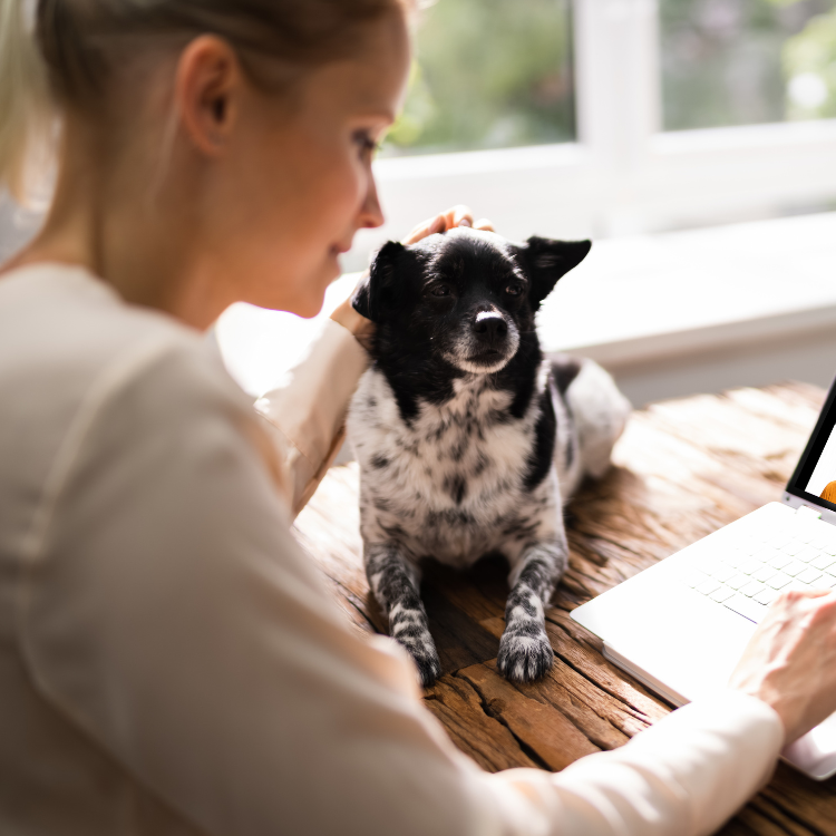 virtual visits woman on a telehealth call for her dog